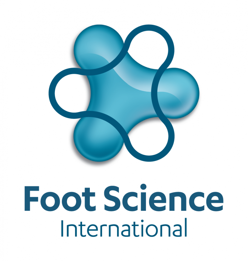 FSI logo vertical blue
